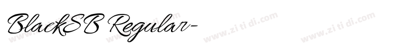 BlackSB Regular字体转换